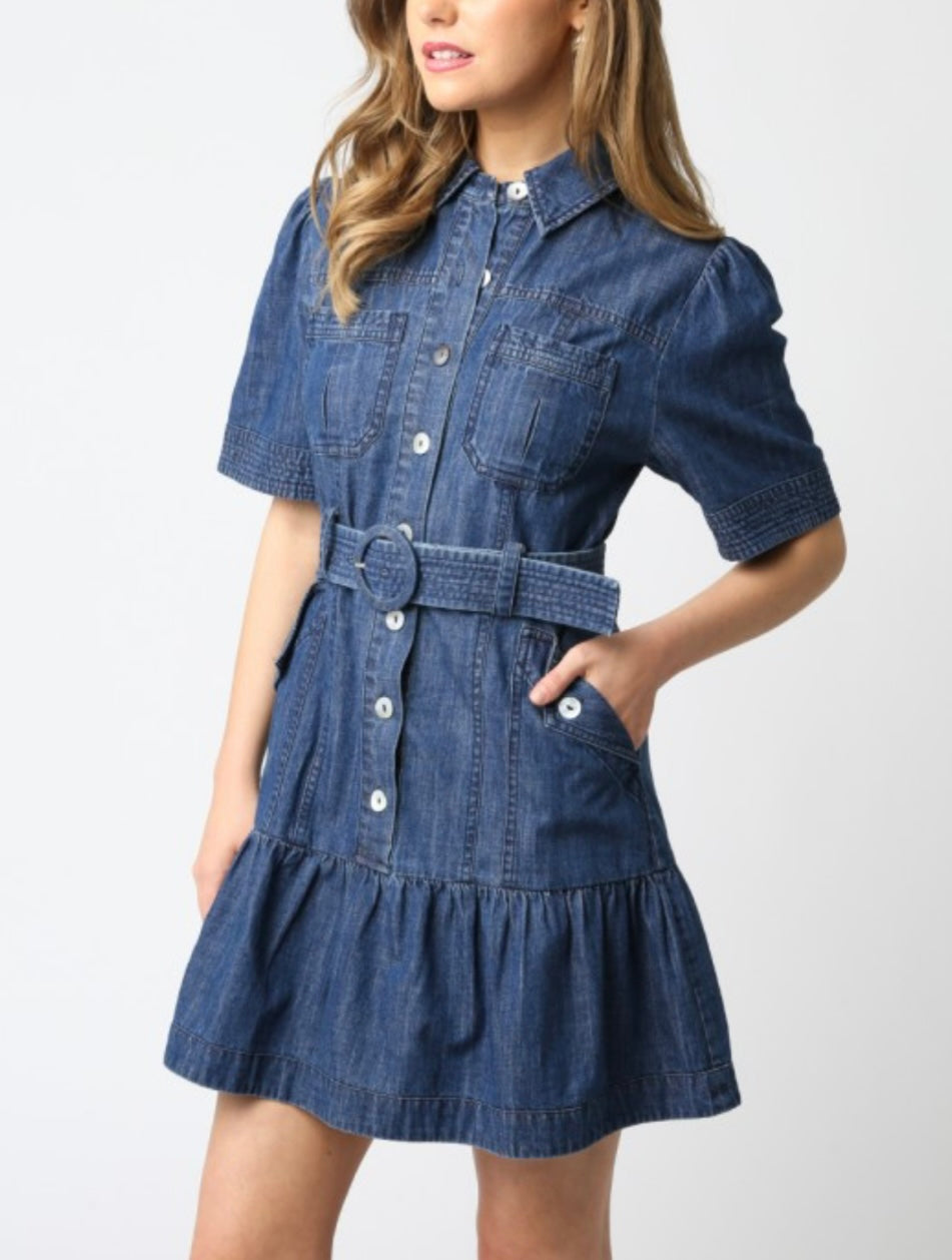 LAINEY DENIM DRESS