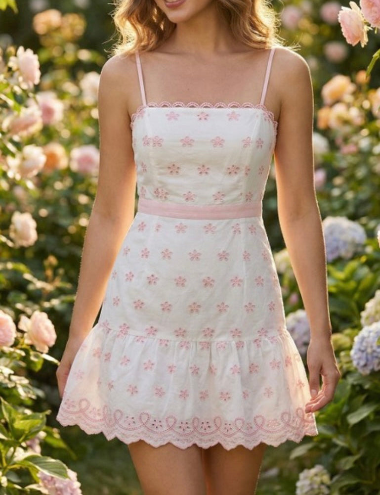 ELLIOTT EMBROIDERY MINI DRESS